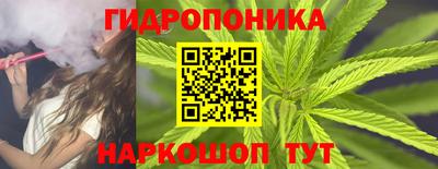 дживик Моздок