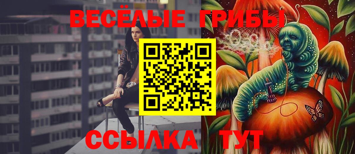 Галлюциногенные грибы Psilocybe  закладки  Великий Новгород  Вход с VPN  Галлюциногенные грибы Magic Shrooms 