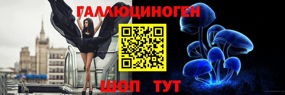 Галлюциногенные грибы GOLDEN TEACHER Великий Новгород